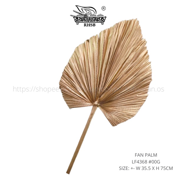 DAUN KIPAS KERING / PALM LEAF / DAUN PALMA / DAUN PALM/ DAUN PELAMIN