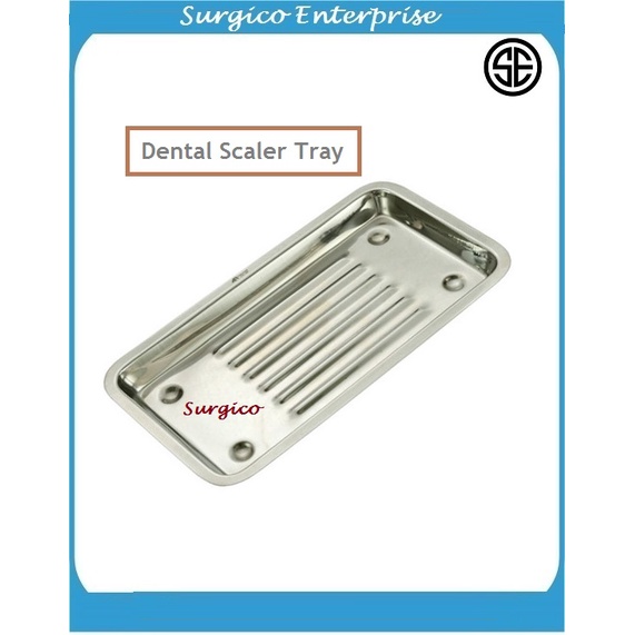 DENTAL SCALER TRAY DENTAL INSTRUMENT TRAY DENTAL Shopee Malaysia