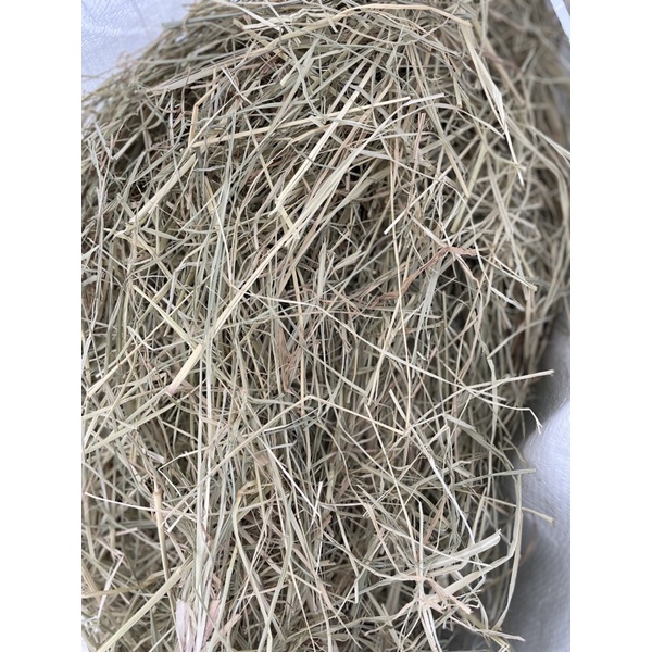 Alfalfa chaff hay timothy rhodes grass 1kg imported quality rabbit