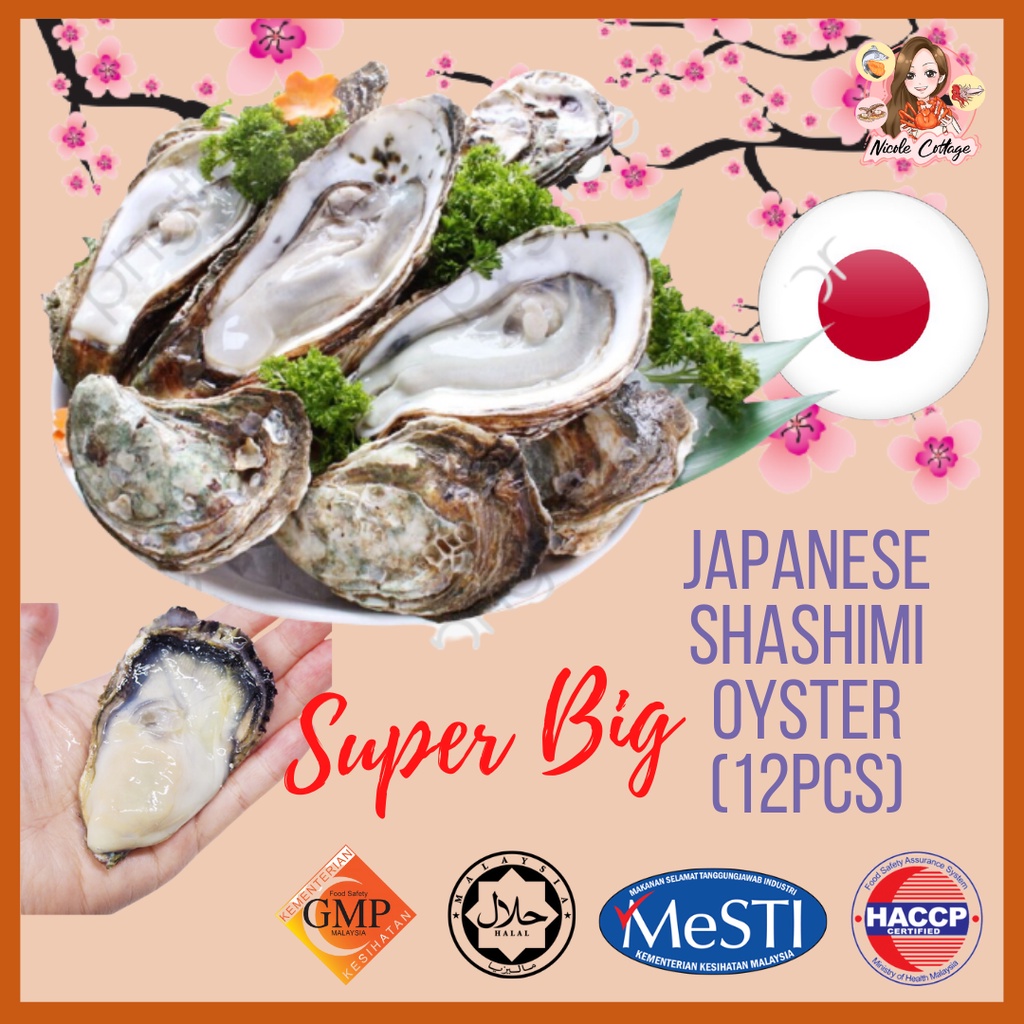 Japanese Oyster/Japan Oyster/Sashimi Grade Full Shell Oyster [Buy 10