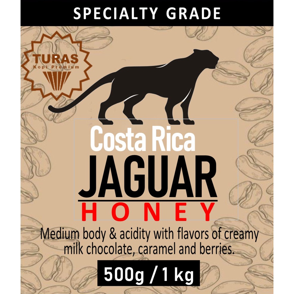 Arabica Coffee Bean (Costa Rica Jaguar Raw Bean) wangi segar sedap