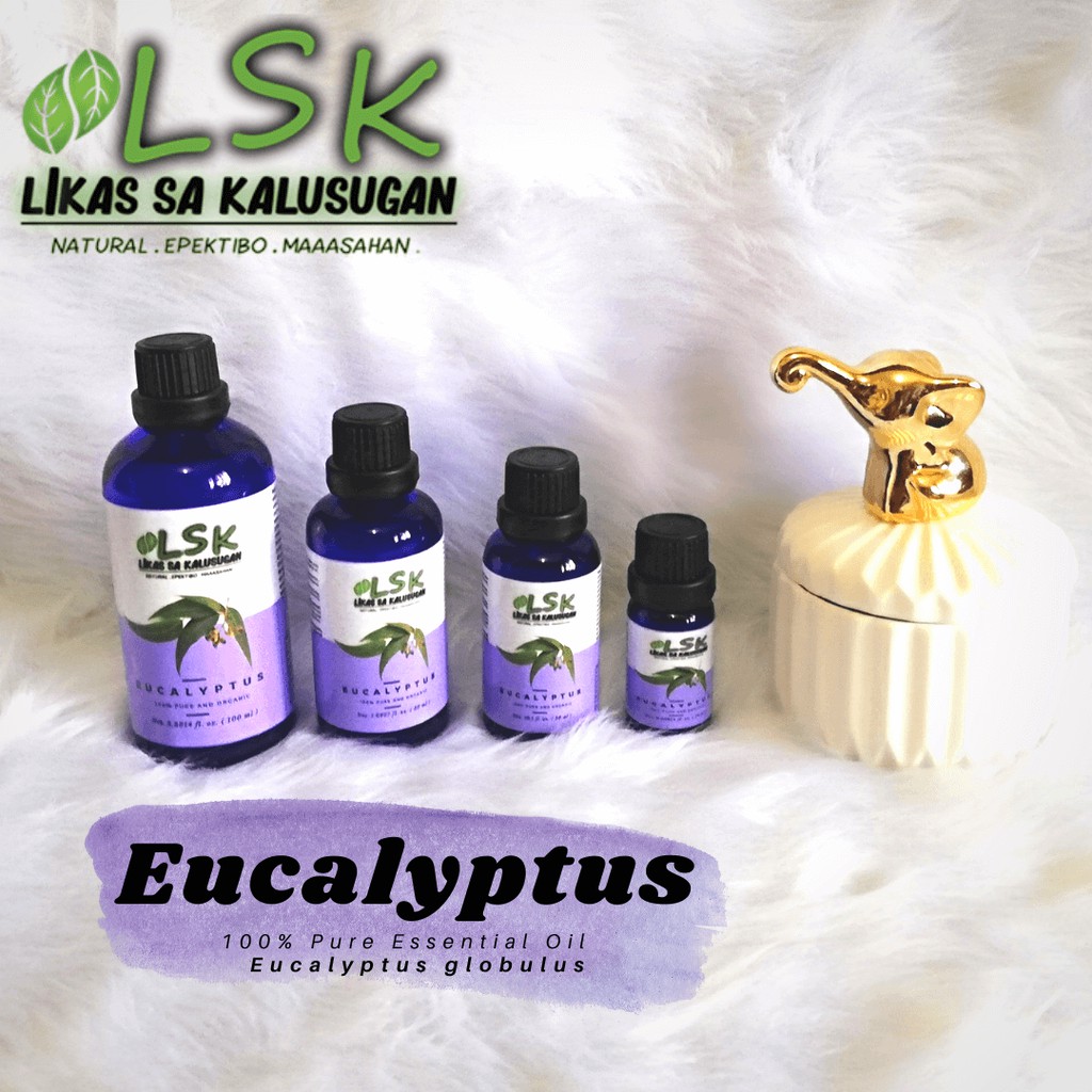 Eucalyptus Essential Oil (Respiratory Infection,Bronchitis,Infectious