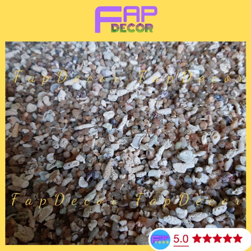 Shredded Coral Grit for Fish Tank Floors, Beautiful Aquatic Soil that