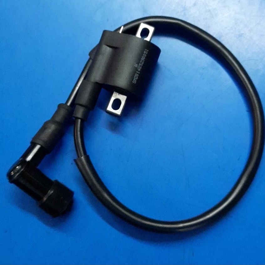 Demak DTM 150 Ignition Coil (Plug Coil) Shopee Malaysia