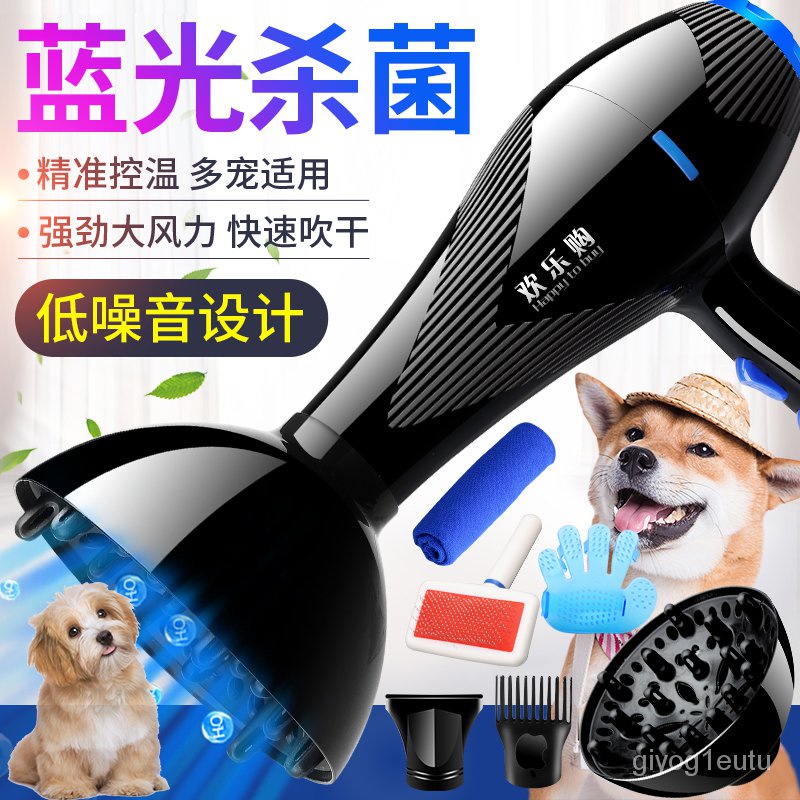 pet dryer Pet's Electric Hair Dryer Size Power Cat Teddy/Golden Retriever Dog Big and Small Dogs