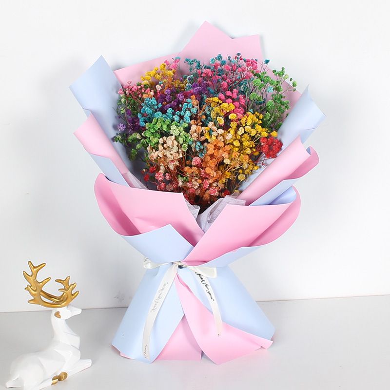 Preserved Baby Breath Bouquet Mix Colour Rainbow Theme Baby Breath