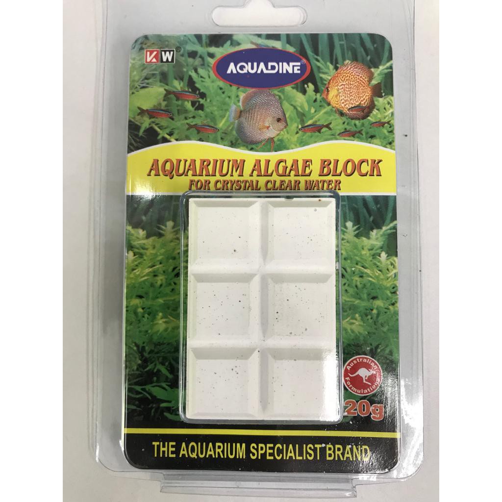 AQUADINE AQUARIUM ALGAE BLOCK Shopee Malaysia