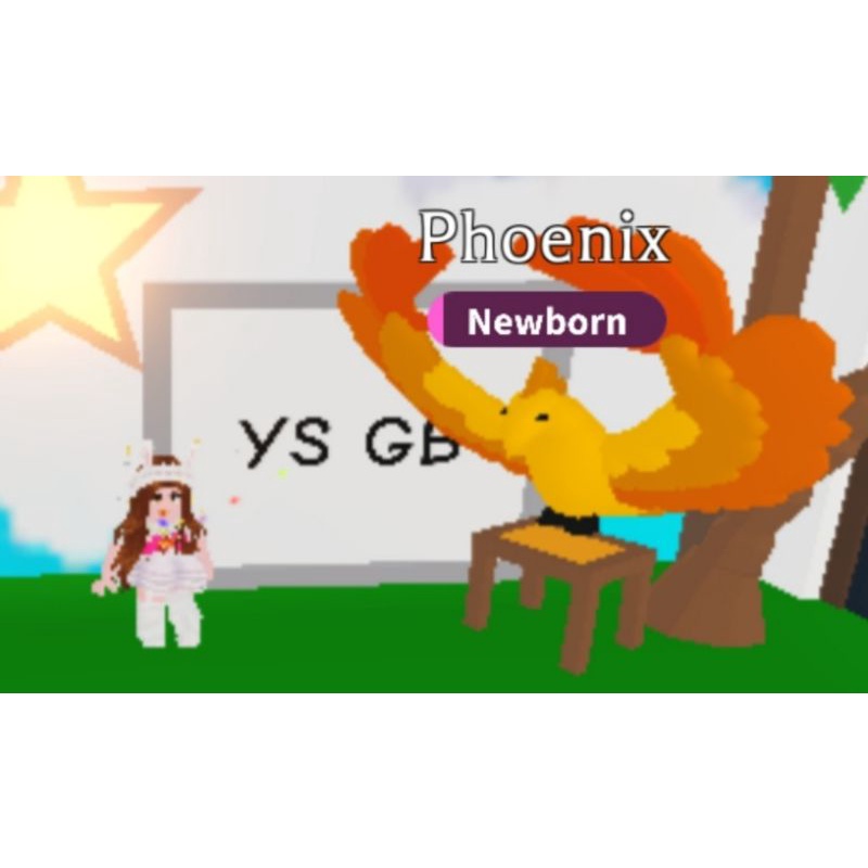 PHOENIX Pet Adopt Me Roblox (FR/ NFR) Shopee Malaysia