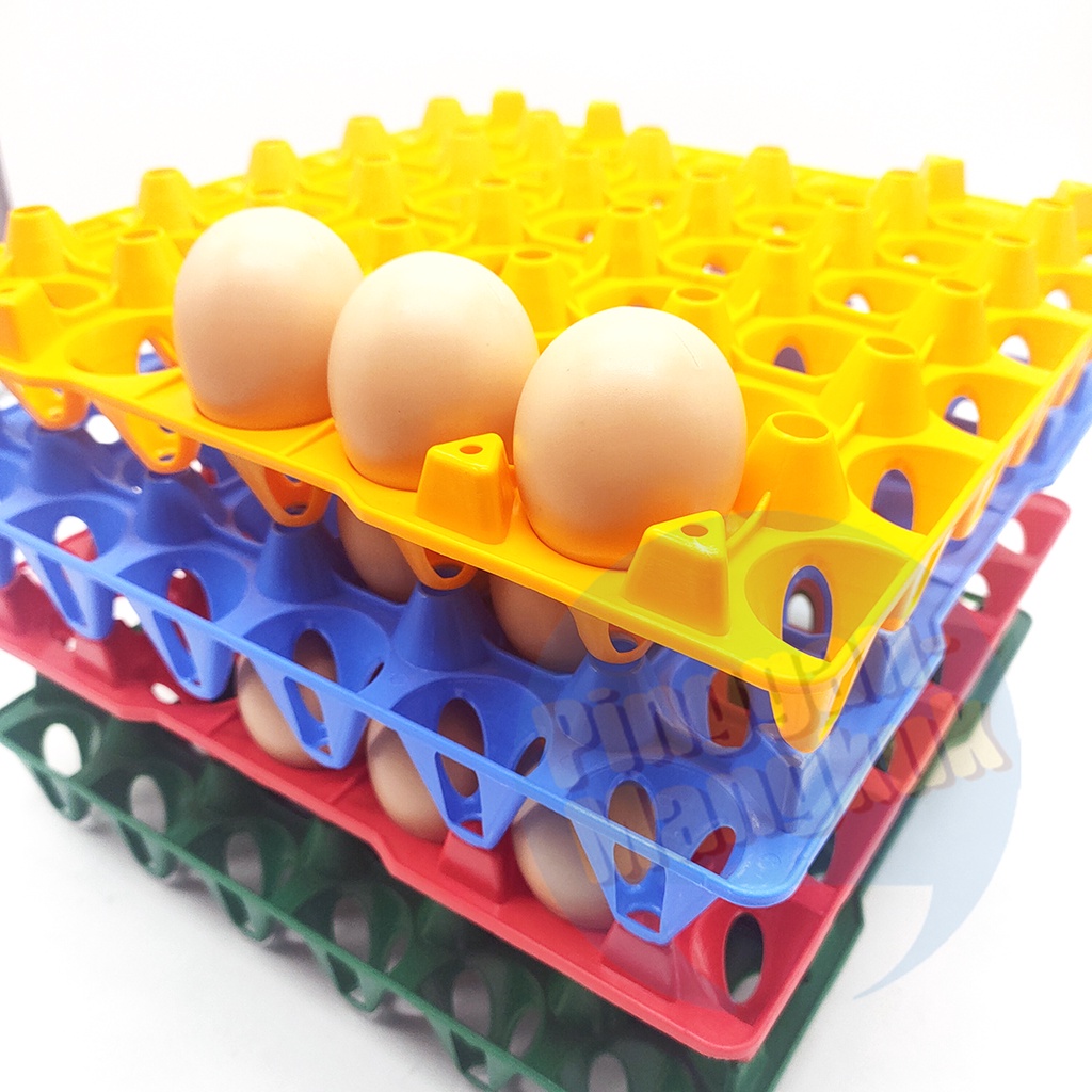 30Pcs Plastic Egg Tray Shopee Malaysia