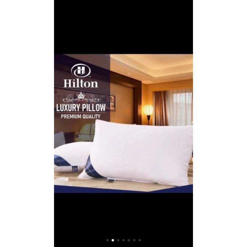 🔥 SUPER HOT 🔥 BANTAL HILTON bantal