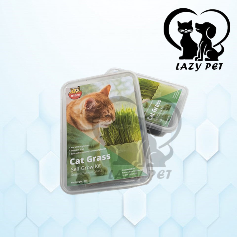 Cat Grass Self Grow Kit / Pet Grass Rumput Kucing Hairball Control
