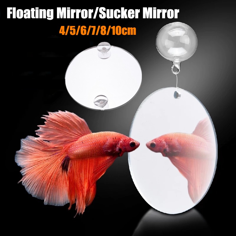 Creative Acrylic Betta Training Mirror Aquarium Sucker Floating Mirror Teasing Fish Tool Fish