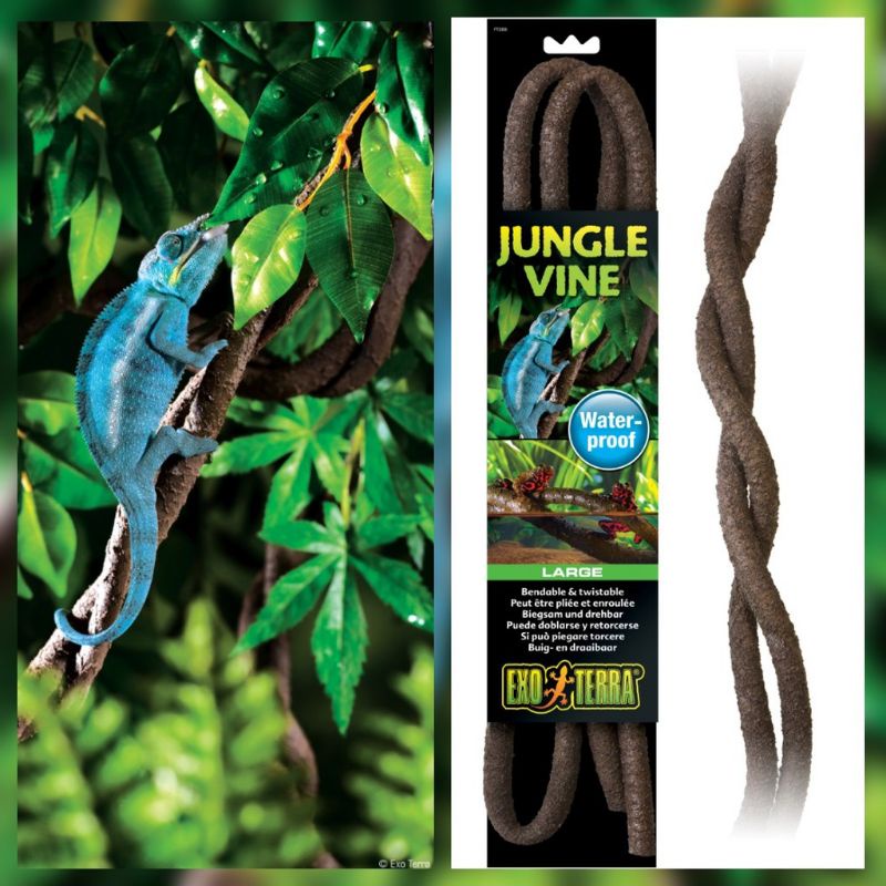 EXO TERRA JUNGLE VINES CHAMELEON VINE LIZARD CLIMB DWELLING WATER PROOF