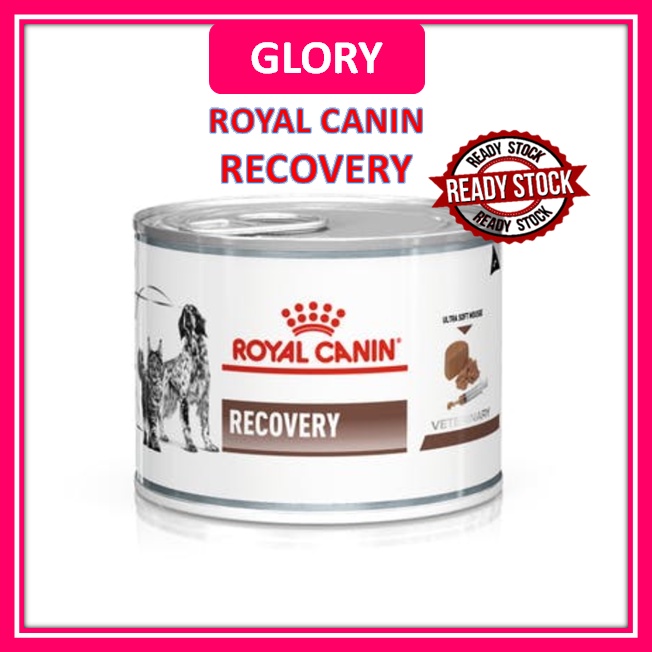 Royal Canin Recovery Wet Food For Cat Dog Can Shopee Malaysia