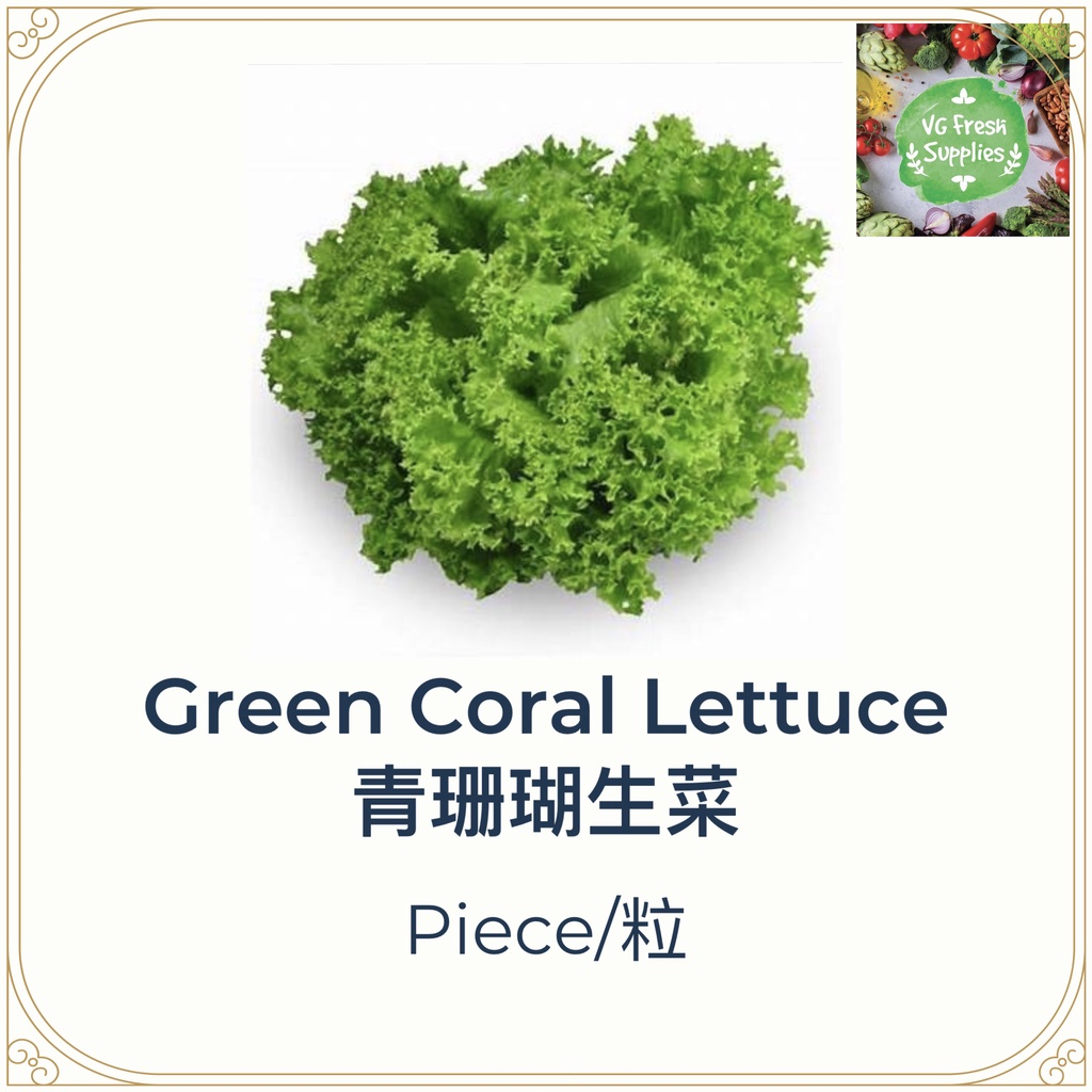Green Coral Lettuce/青珊瑚生菜/500gm Shopee Malaysia