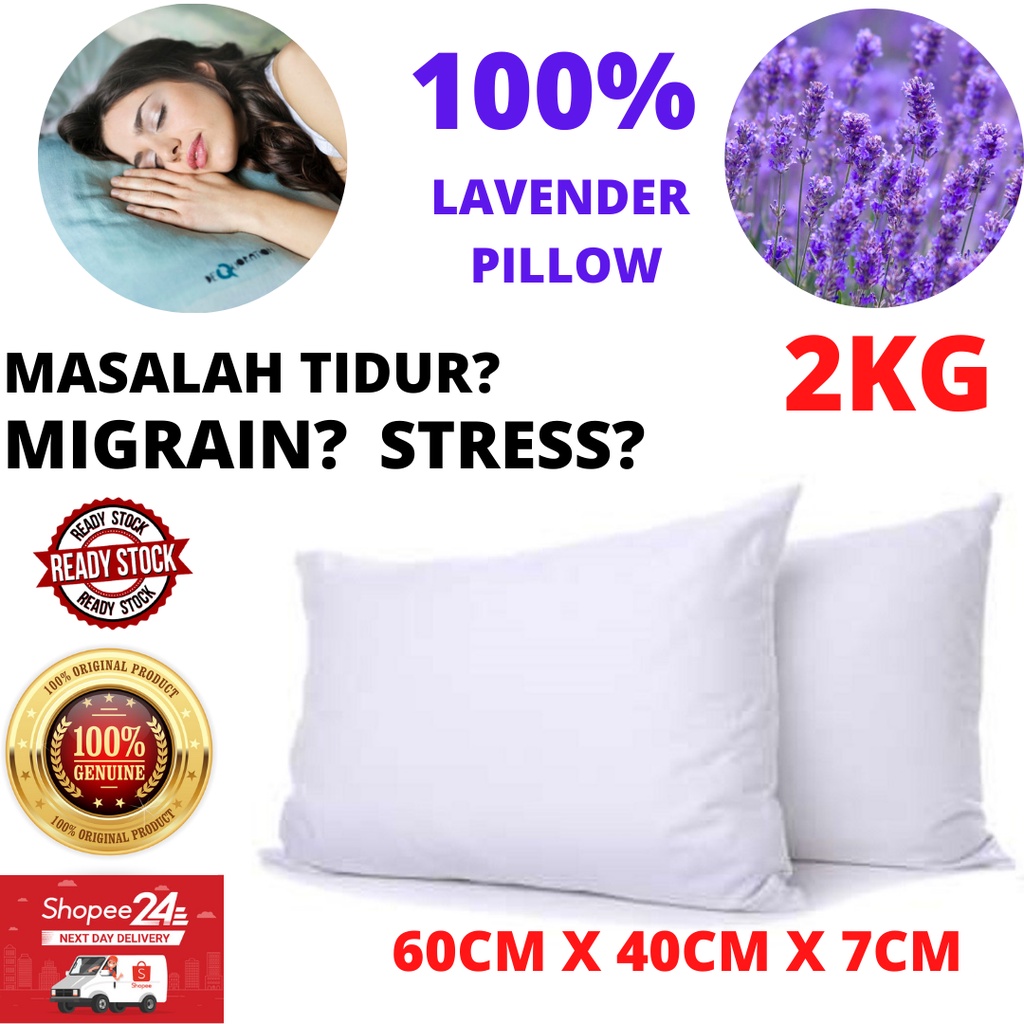 (MALAYSIA READY STOCK) 2KG Lavender Pillow 60cm x 40cm x 7cm (for