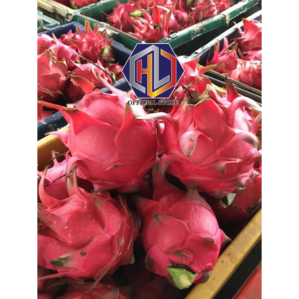 💥 Pre Order💥 Red Dragon Fruit Direct From Farm 300g 400g 500g 600g