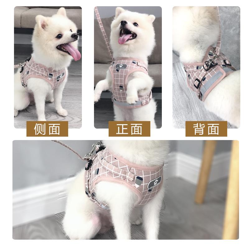 Pet cat dog chest strap traction rope teddy bear Bomei dog rope