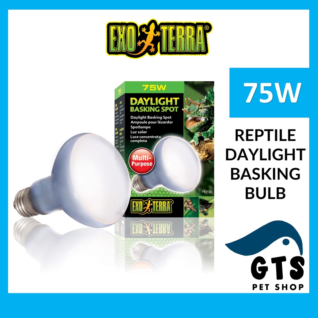 Exo Terra Daylight Basking Light Bulb Spot Lamp PT2132 75W Tropical