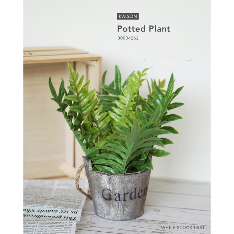 KAISON Artificial Paku Pakis 30cm Shopee Malaysia