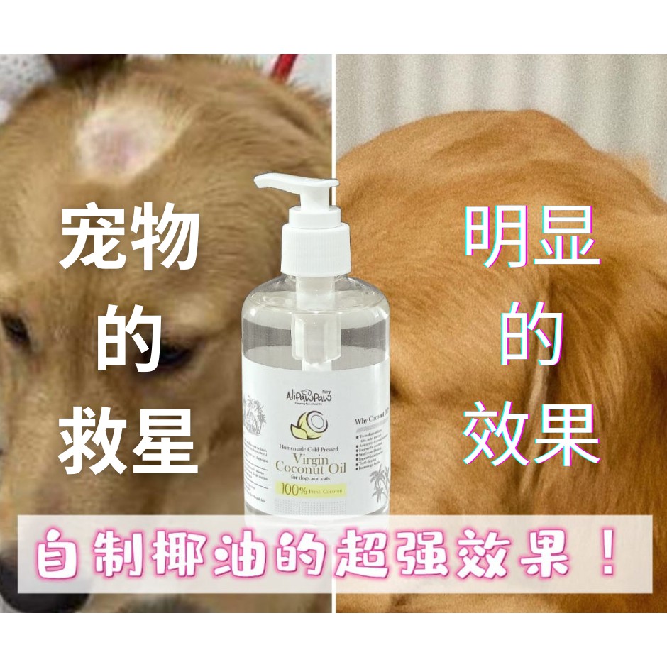 Virgin Coconut Oil For Dog / Cat / Hamster / Pet coconut oil / Furcoco