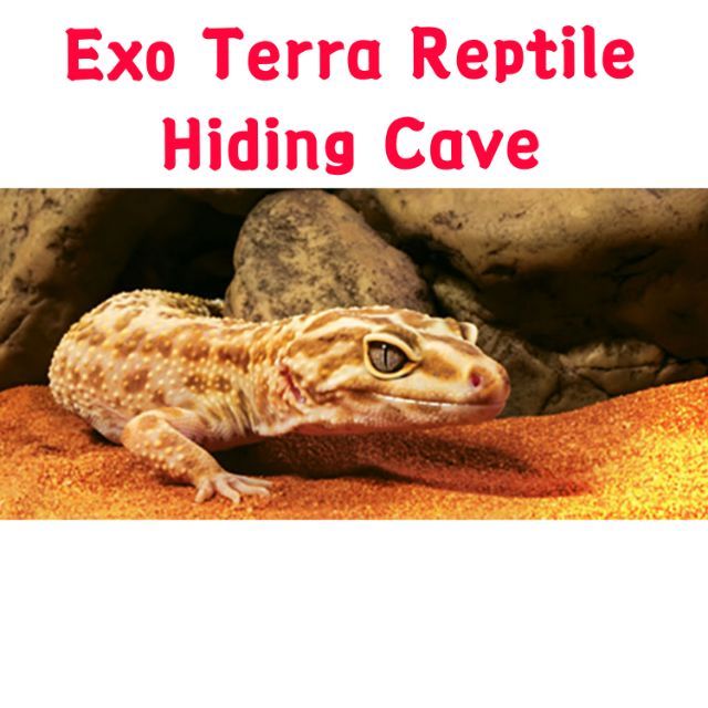 Exo terra Reptile hiding cave S/M/L Size hide out PT2931 natural rock