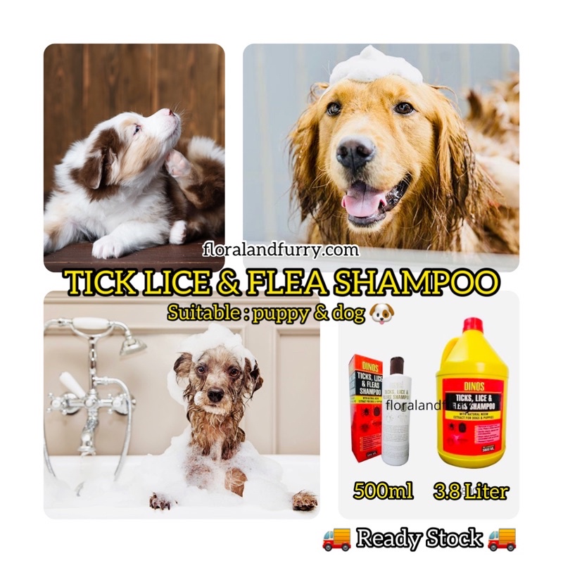 Dinos Dog Shampoo Dinos Ticks Lice & Fleas Shampoo With Natural Neem