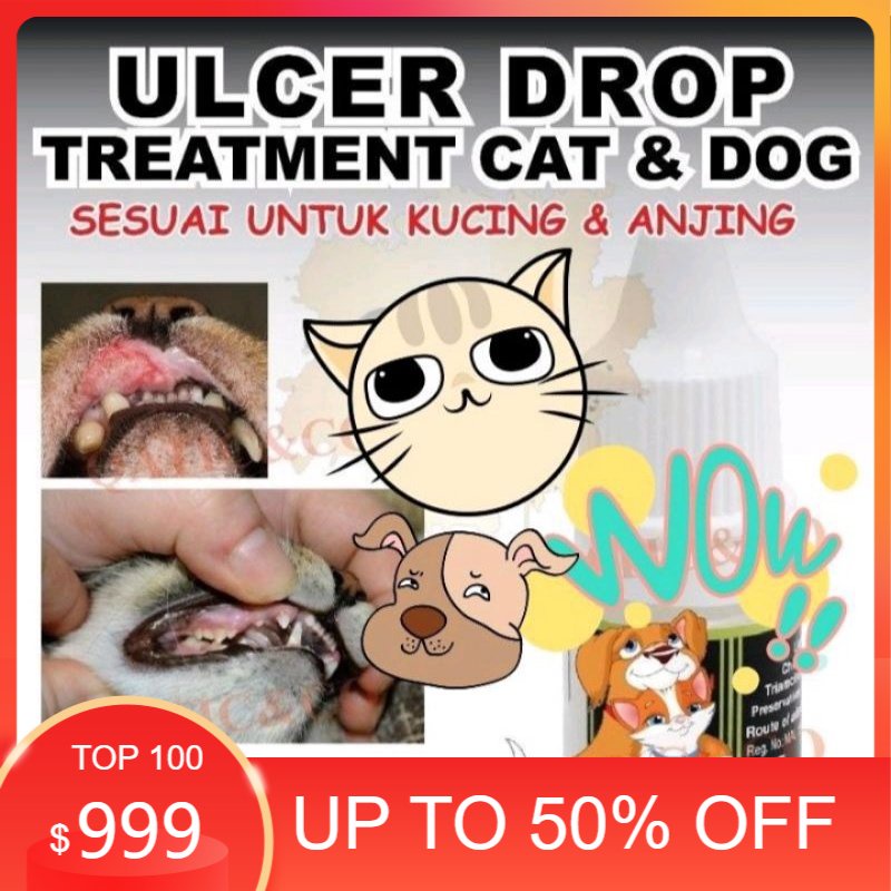 ubat ulcer / ulser mulut kucing , sakit mulut kucing, cat dog ulcer