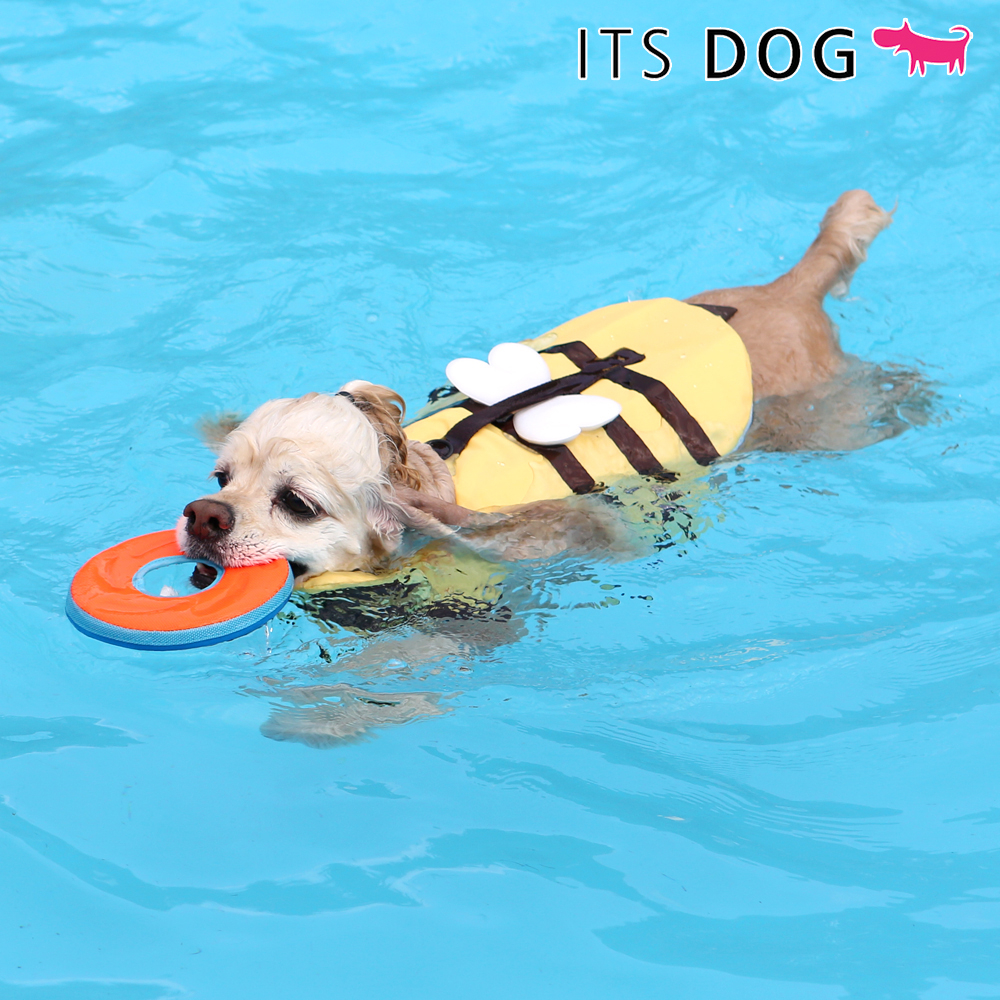 [DOG LIFE JACKET MADE IN KOREA] ITSDOG Honeybee Life jacket (1 Color, 3