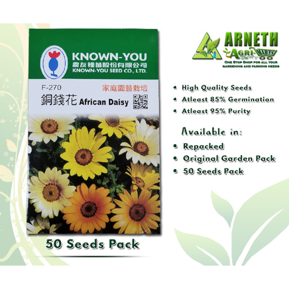 AFRICAN DAISY FLOWER PLANT SEEDS BY KNOWN YOU ORIGINAL GARDEN PACK Shopee Philippines