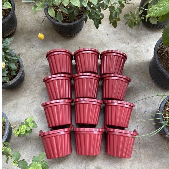 FAMILIFE 12pcs (1 Dozen) 2 Clips Colored Hanging Small Vertical Flower