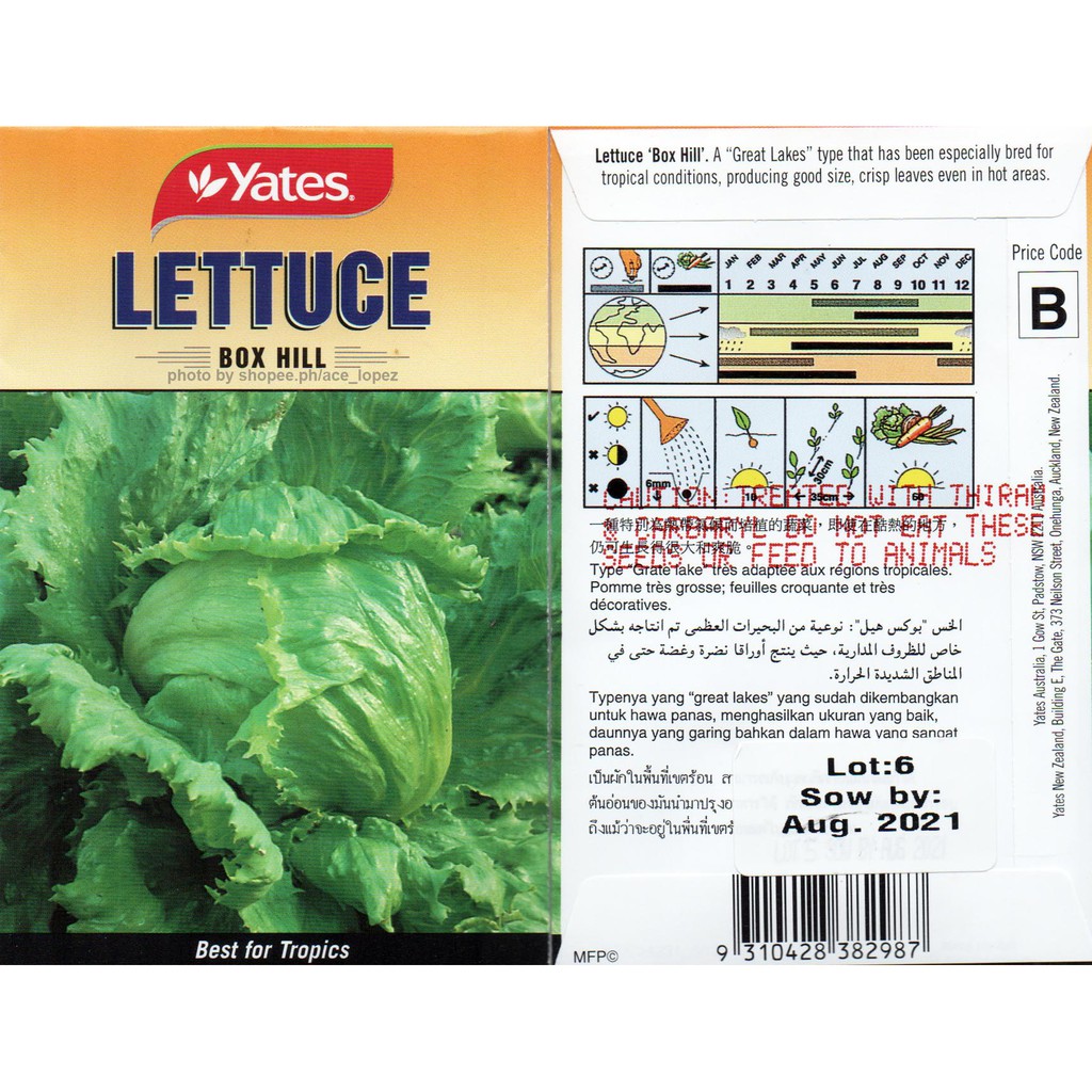 Ramgo Condor Yates Lettuce Salad Seeds Sold per Pack per Variety