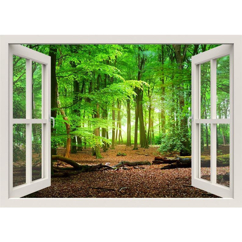 Forest Wall Decal, 3d Window Wall Decal, Window Frame, Nature Wall
