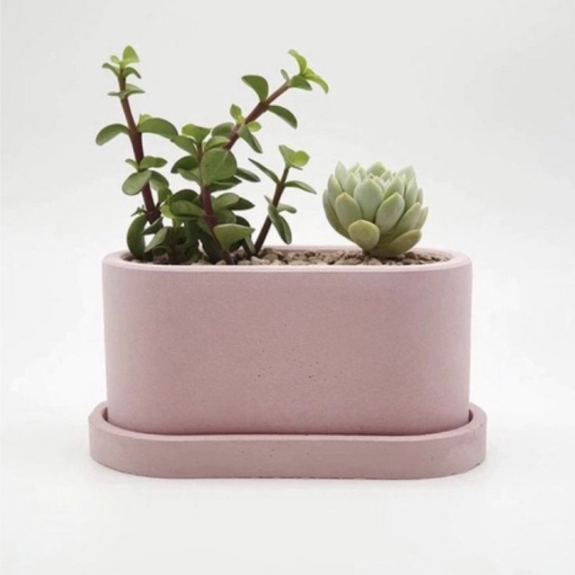 Large Oval Planter Pot w/ tray, for cactus and succulents, for bonsai