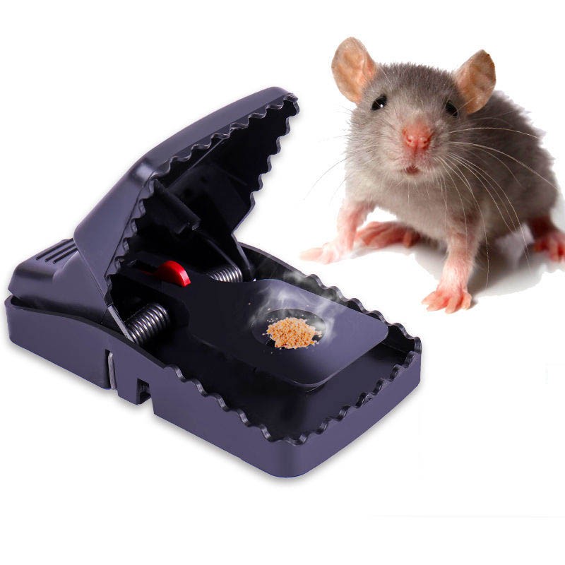 MOUSE RAT TRAPS HIGH SENSITIVE SNAP BIG PLASTIC MOUSE TRAP RODENT CATCHERZ139 Shopee