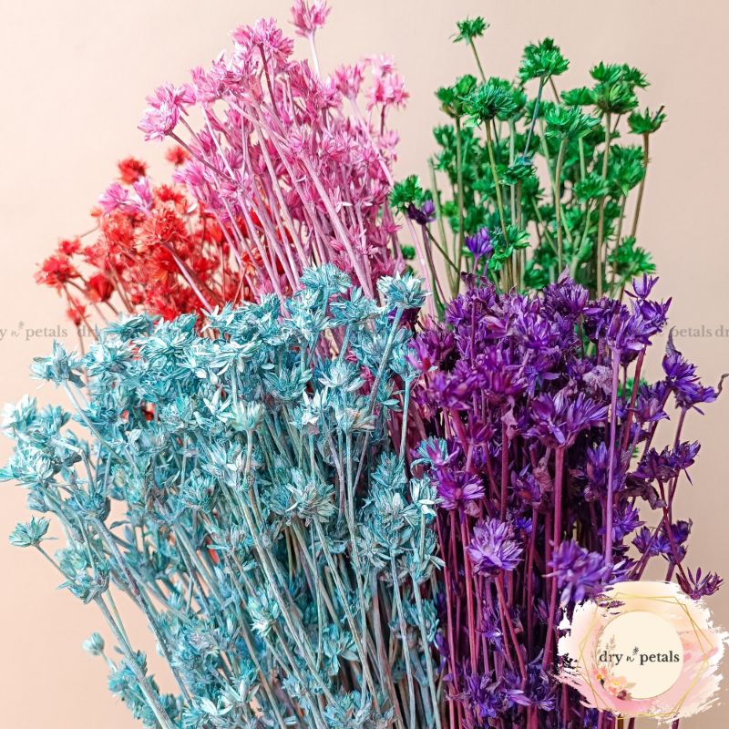 Dried Flowerette (per bunch) Dried Flowers for Cake Topper Bouquet Home