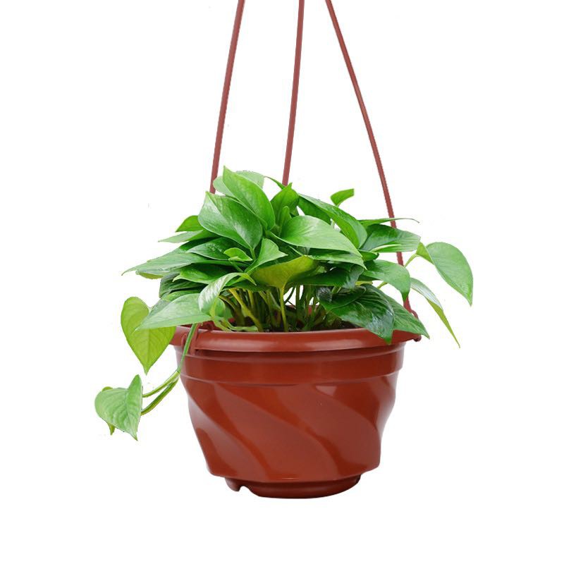 Plastic Hanging Flower Pots Shopee Philippines