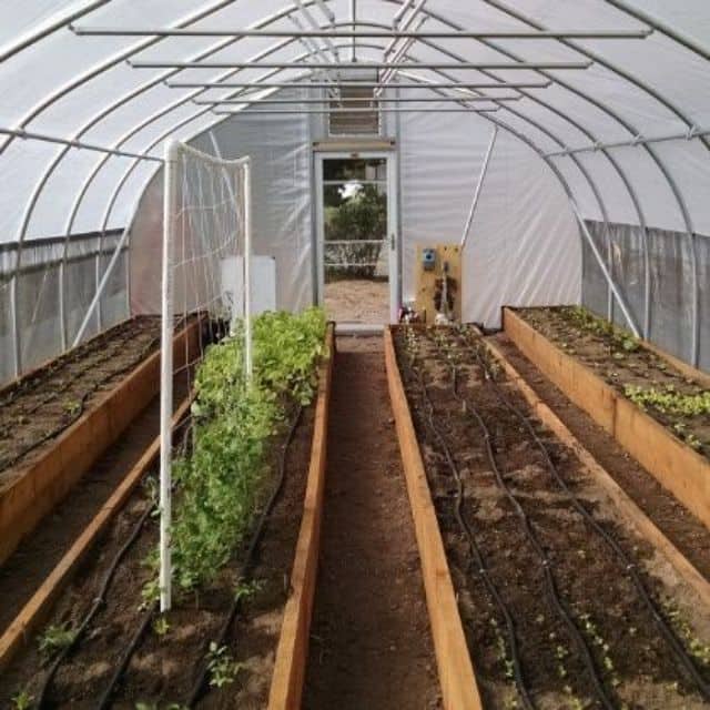 Original UV Plastic Sheet Heavy Duty 6Mil/150 microns for Greenhouse