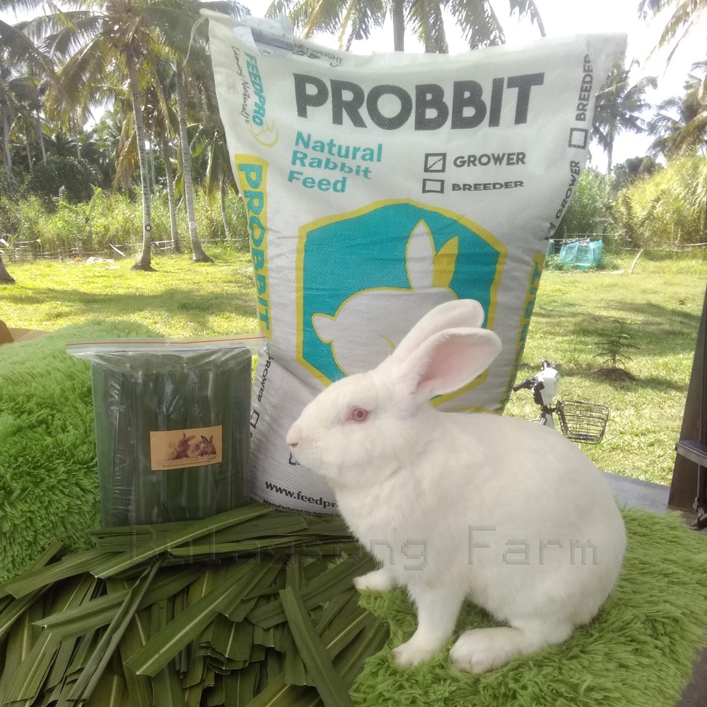 Probbit Natural Rabbit Feeds by FeedPro Grower (per sack) Shopee