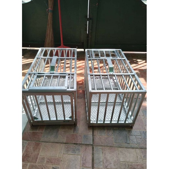 PIGEON TRAINING BOX (non collapsible) Shopee Philippines