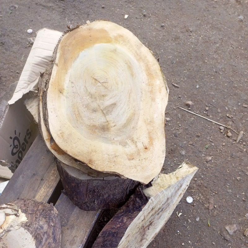 molave chopping board/sangkalan Shopee Philippines