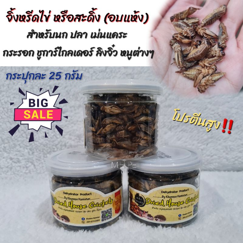 Dehydrated Crickets Or Dried Bridge Small Jar 25 Grams For Birds Mice
