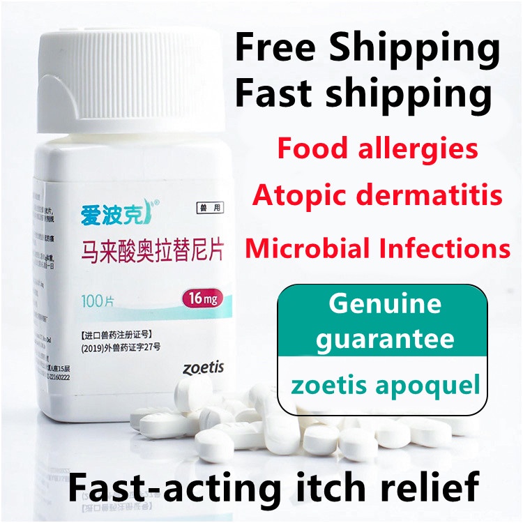 Zoetis Apoquel 16mg Pet AntiItching Medicine Dog Fungus Bacteria Allergies Atopic Dermatitis