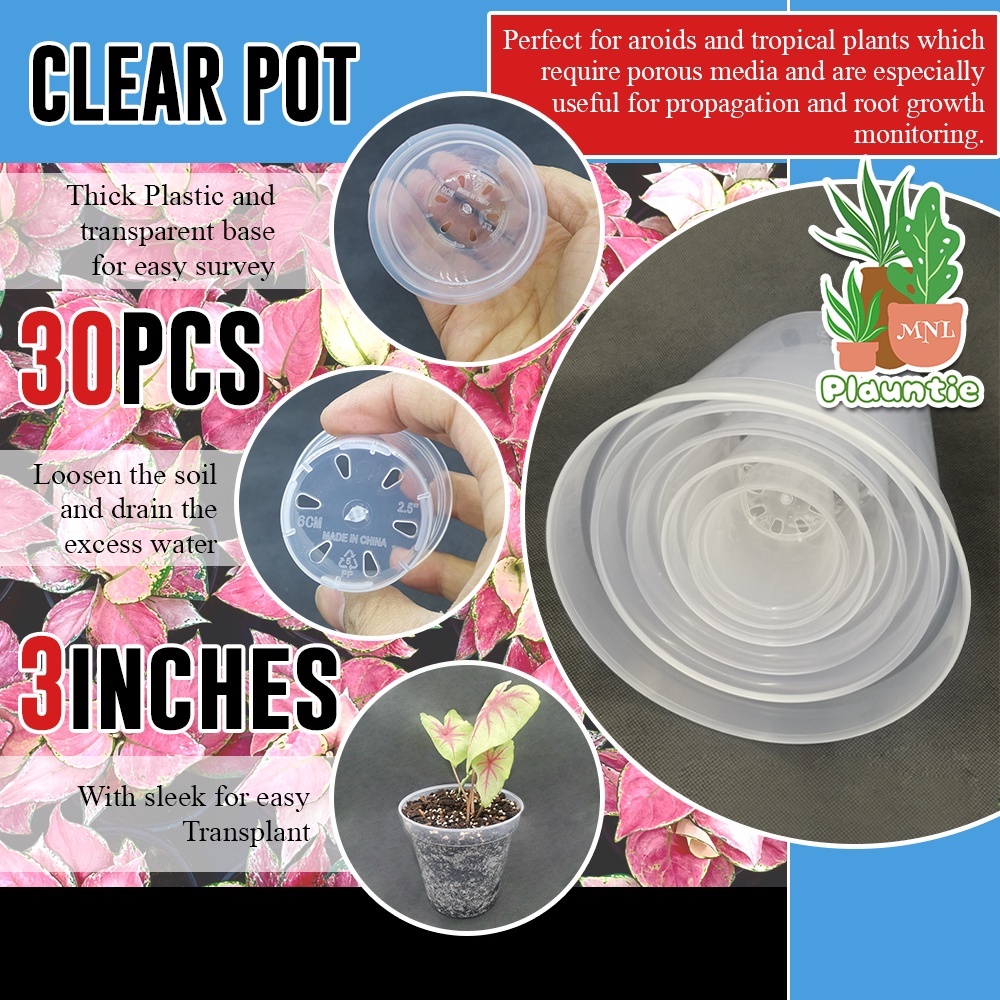 30pcs 7.6cm Clear Round Pots/ Transparent Best for Aroids and Orchid