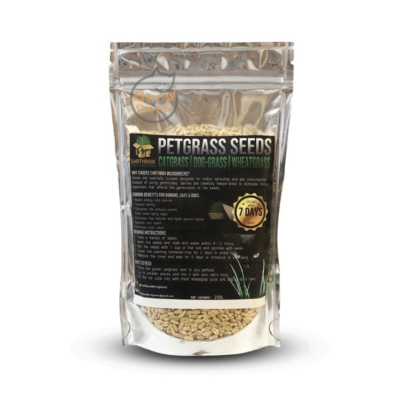 Earthbox Microgreens Cat Grass Seeds Pet Grass Seeds Shopee Philippines