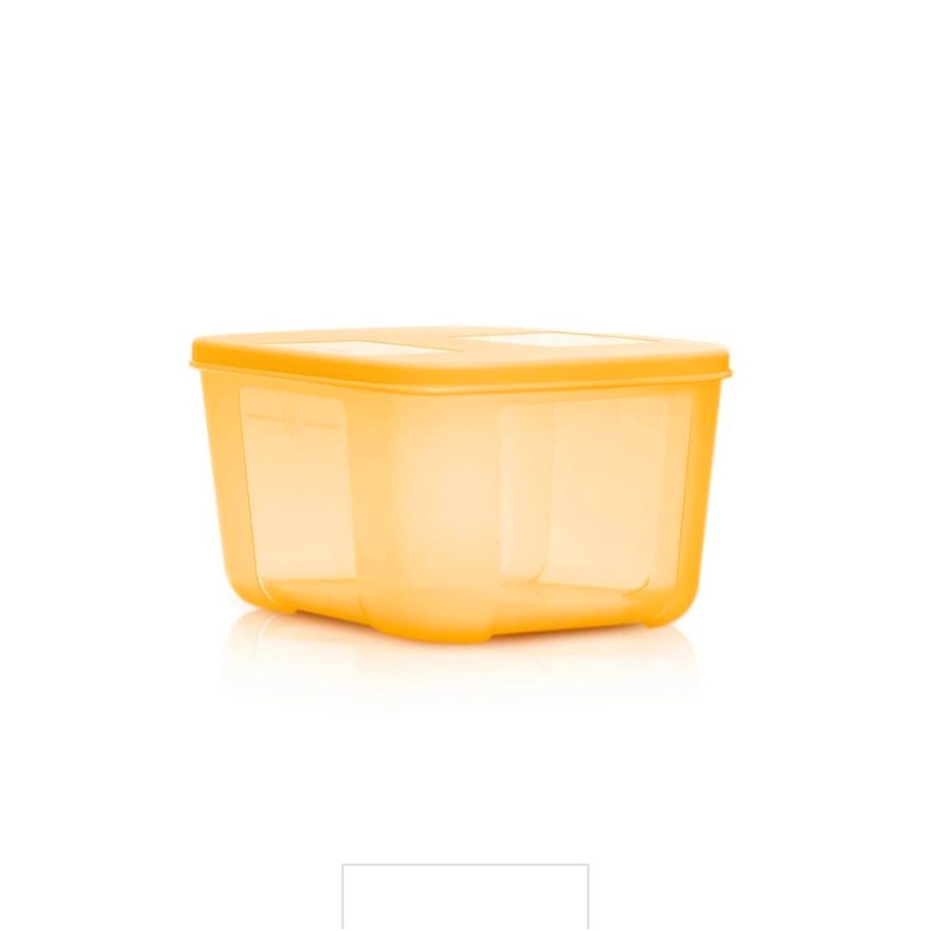 Klair Tupperware Freezermates 650ml Small Solo Sunflower Shopee