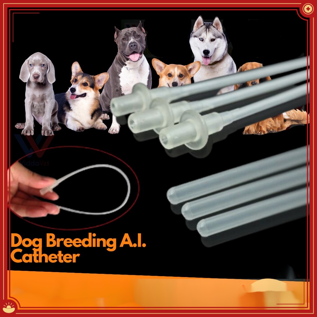 10 pcs Dog Breeding Catheter Disposable Flexible Artificial