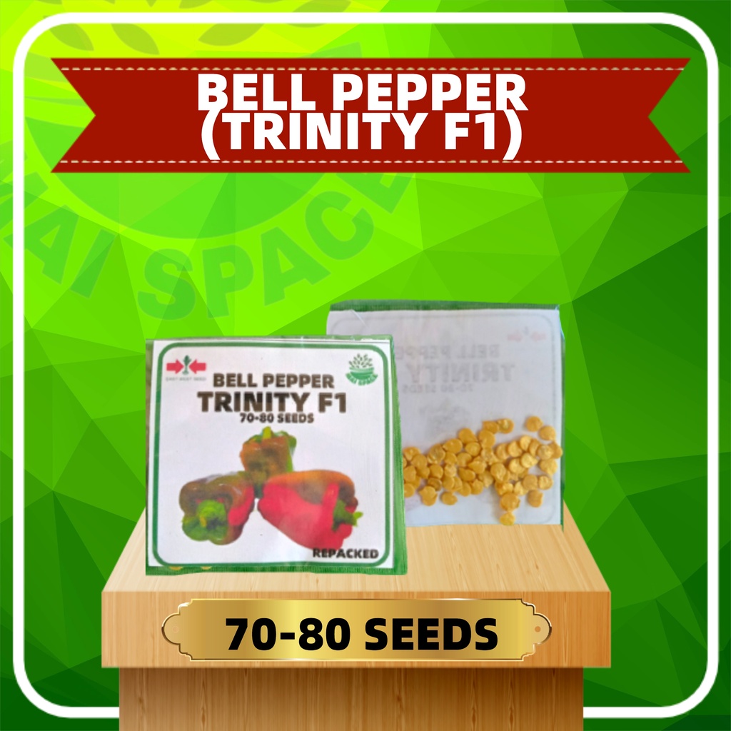 BELL PEPPER (TRINITY F1) SEEDS (REPACKED ) 88 GERMINATION RATE (70