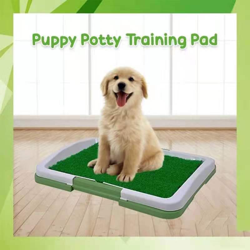 TrustedPH GREEN PUPPY POTTY TRAINER INDOOR Shopee Philippines