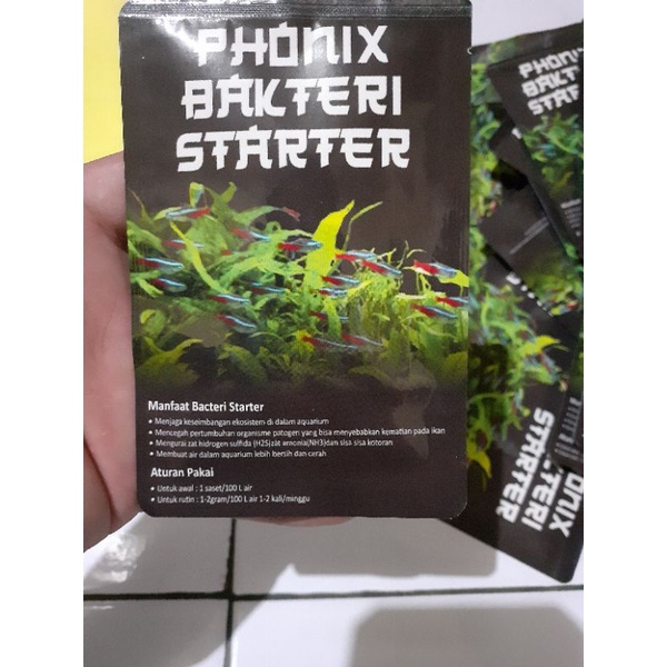 Bacteria starter/Bacteria starter aquascape Aquarium And Pond phonix